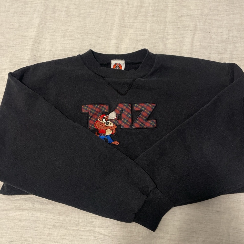 Vintage Looney Tunes Tasmanian Devil Crewneck Sweatshirt